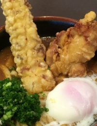 竹鶏玉カレーうどん
