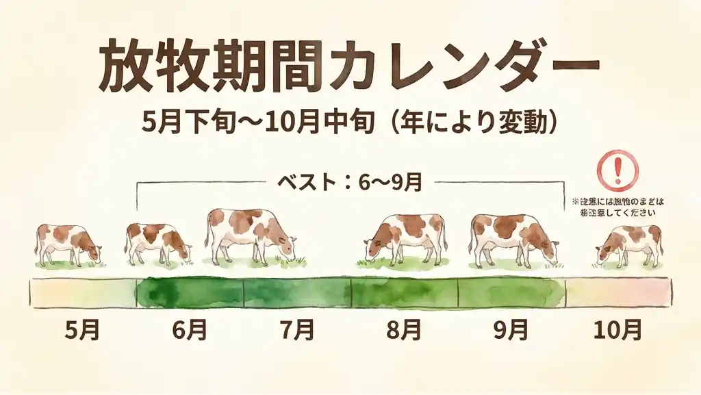 美ヶ原高原の牛放牧期間を示すカレンダー形式のインフォグラフィック、5月から10月までの月別表示と6〜9月のベストシーズンをハイライト